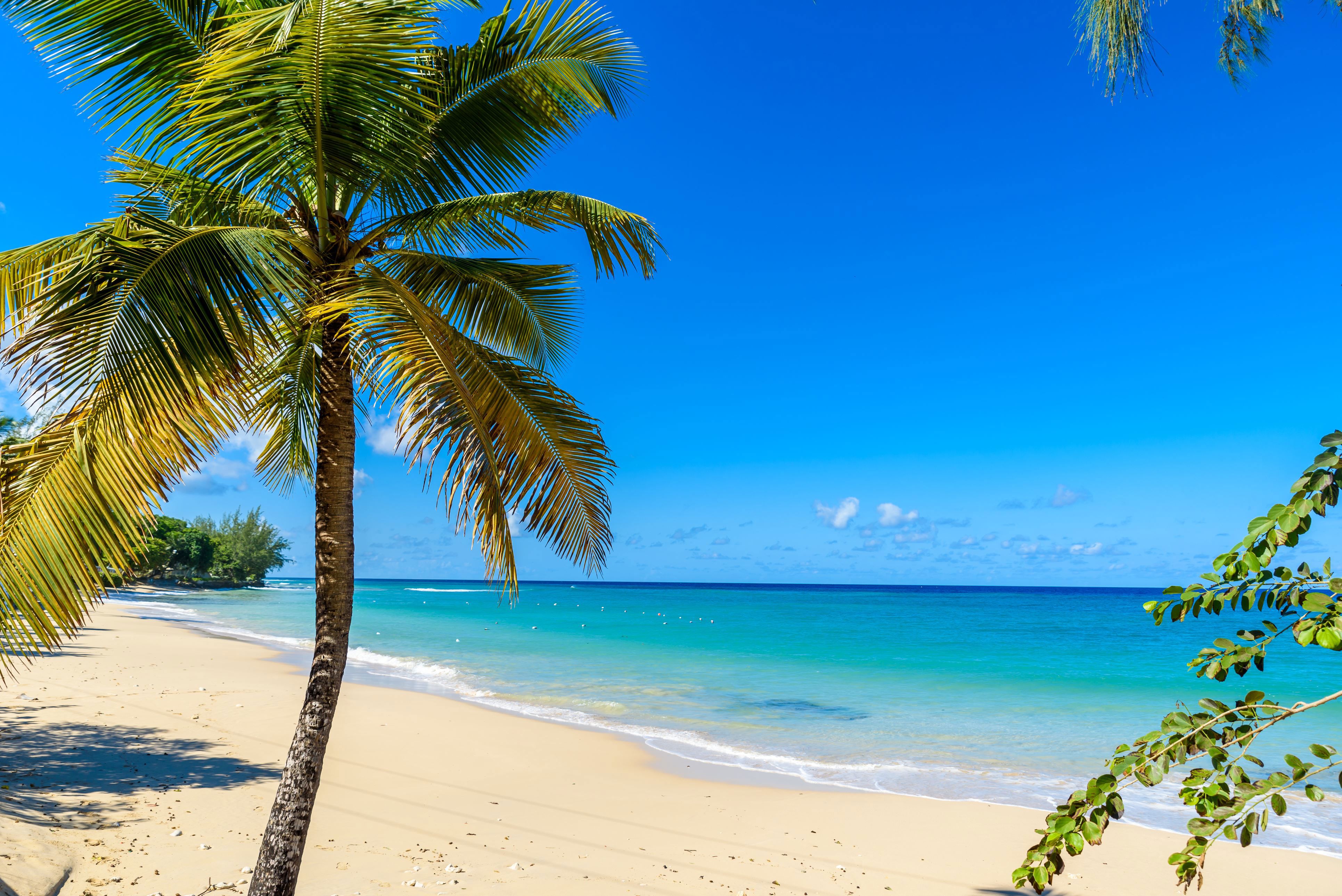 Pristine beaches of Barbados, Caribbean