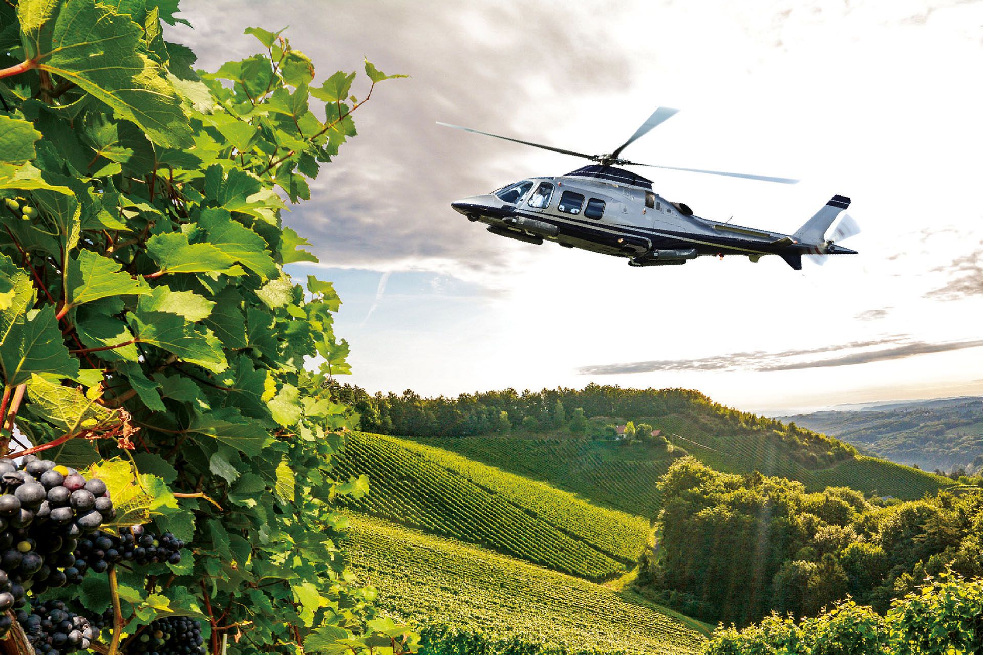 Helicopter Wine tasting tour