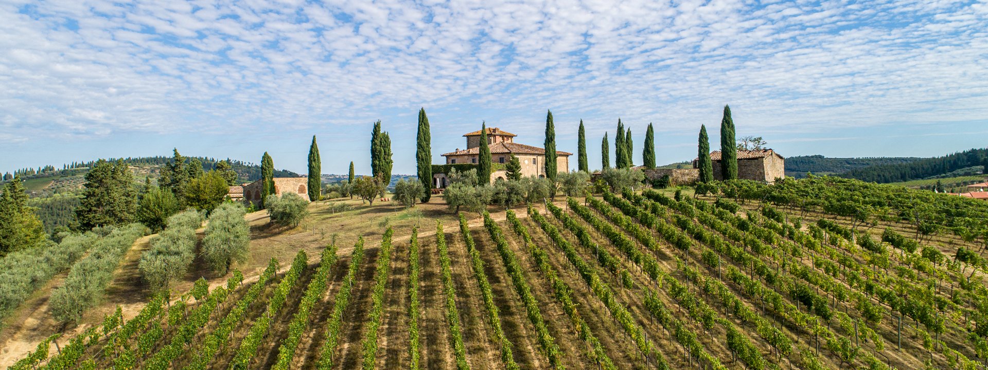 Castello Di Monsanto