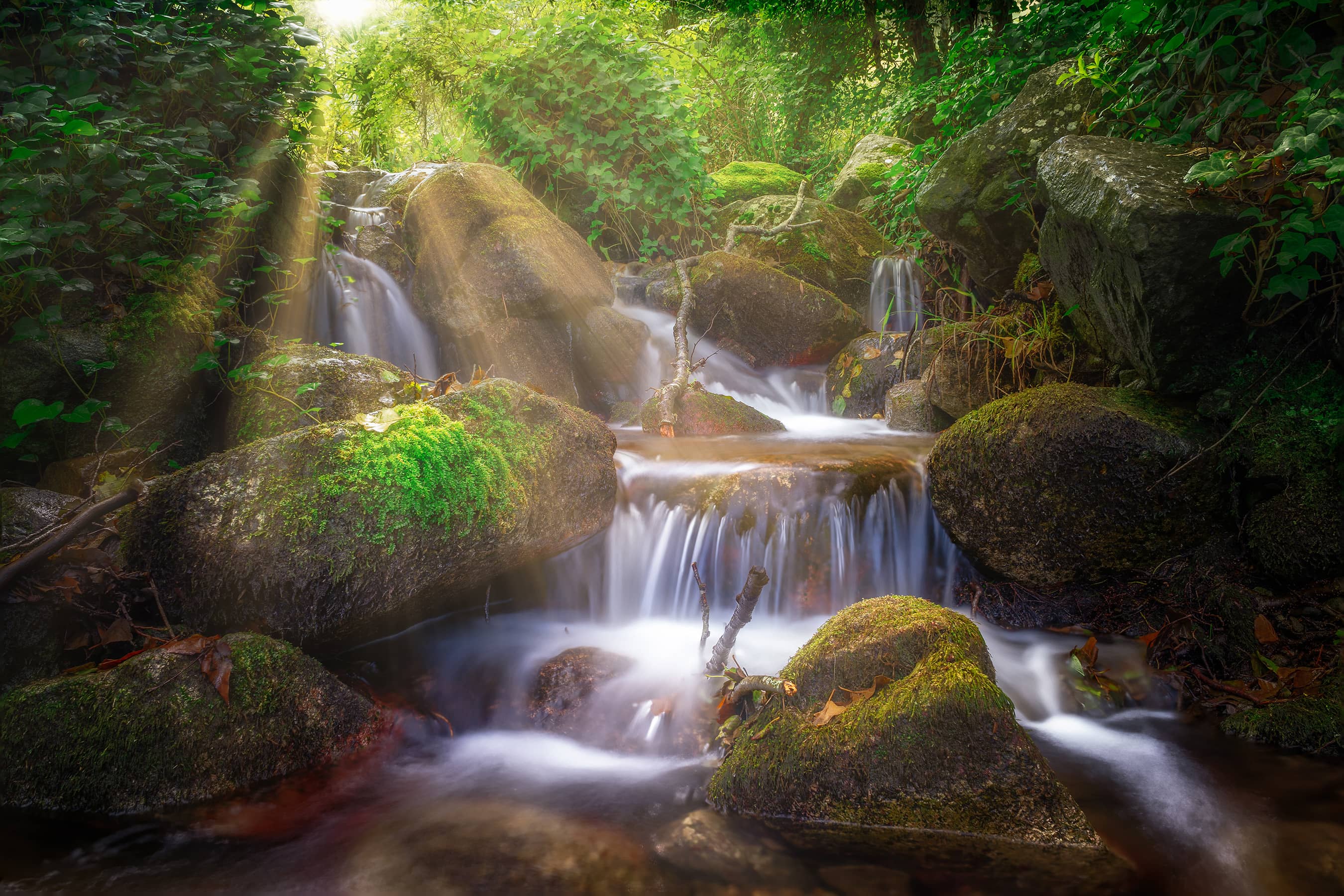 Visit Monchique Mountains