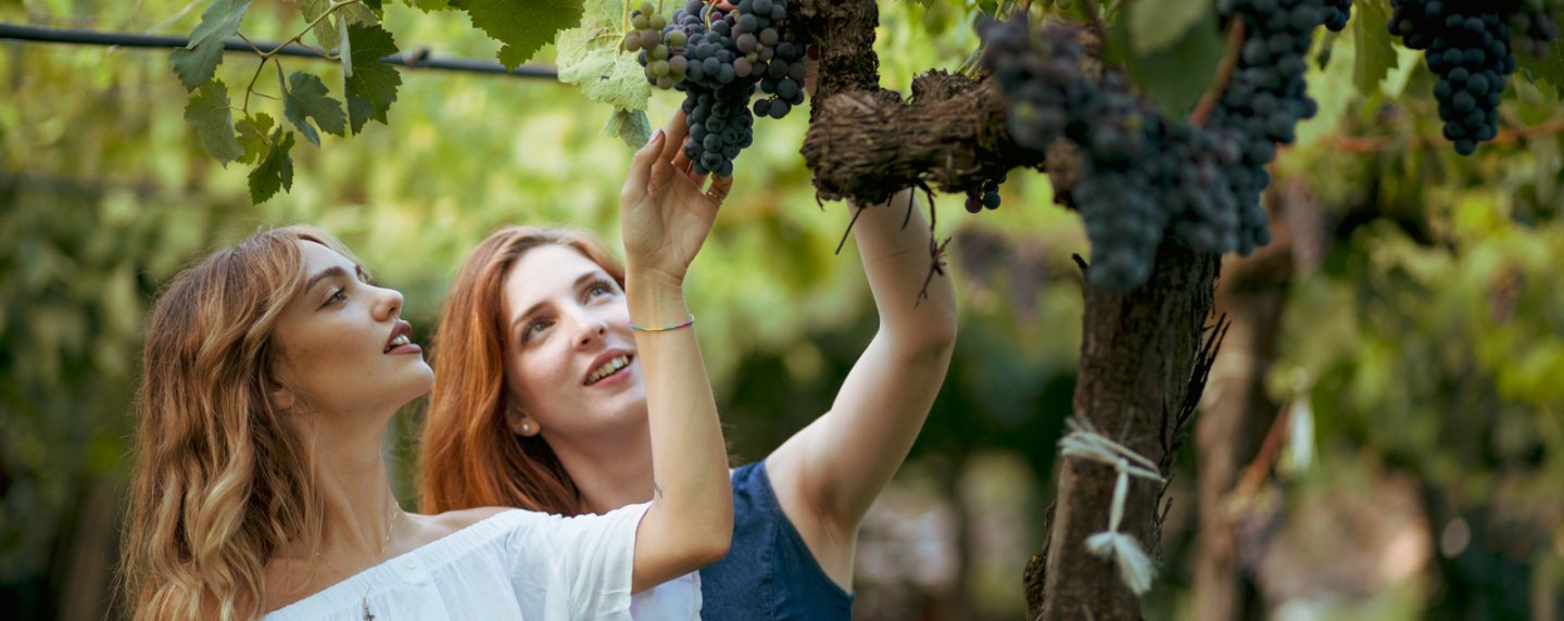 Siracusa Wineries Tour