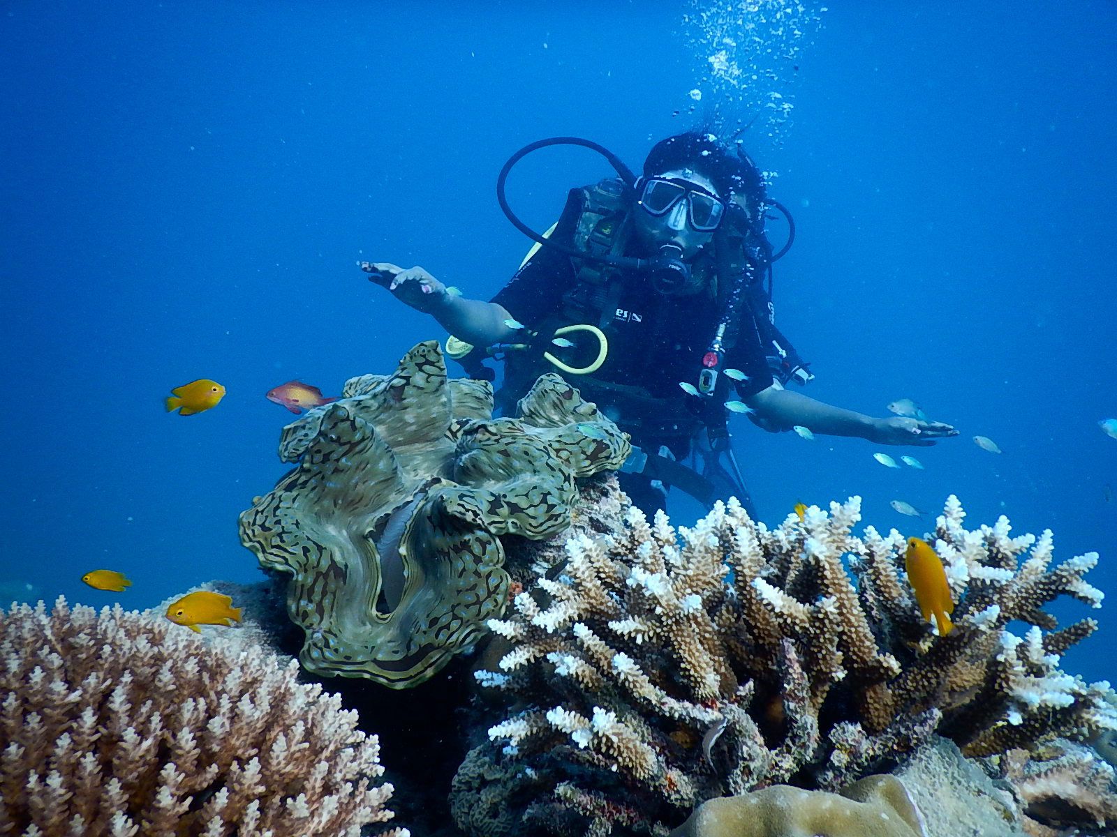 Scuba diving on the Algarve