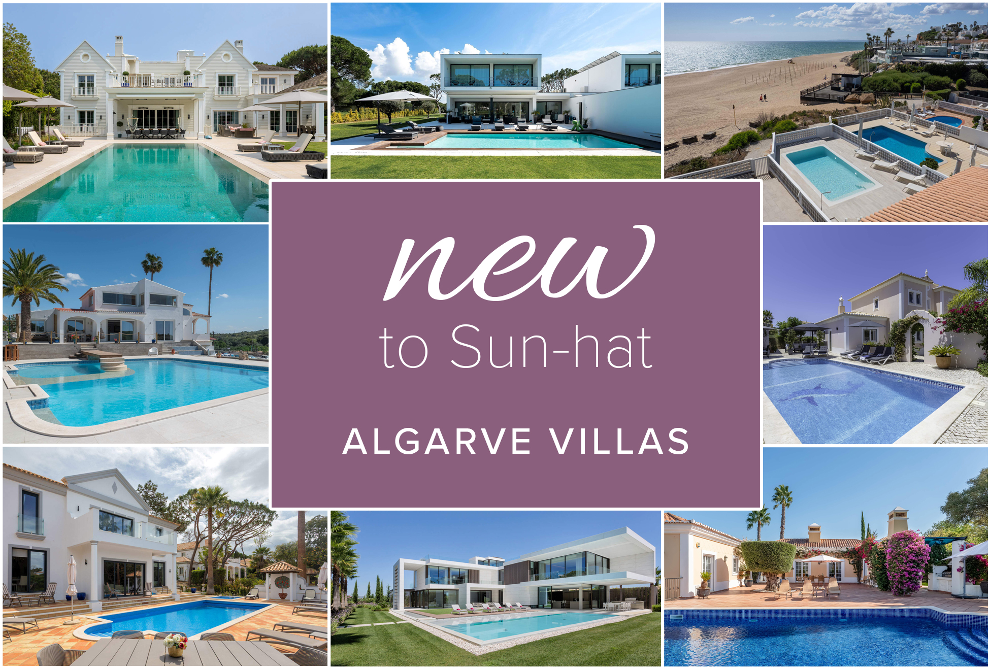 Browse the latest additions to our incredible range