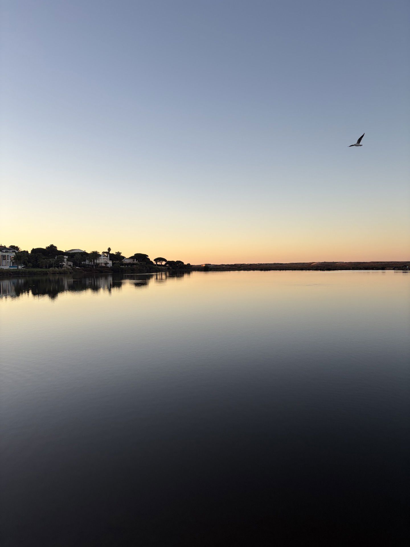 Ria Formosa Natural Park