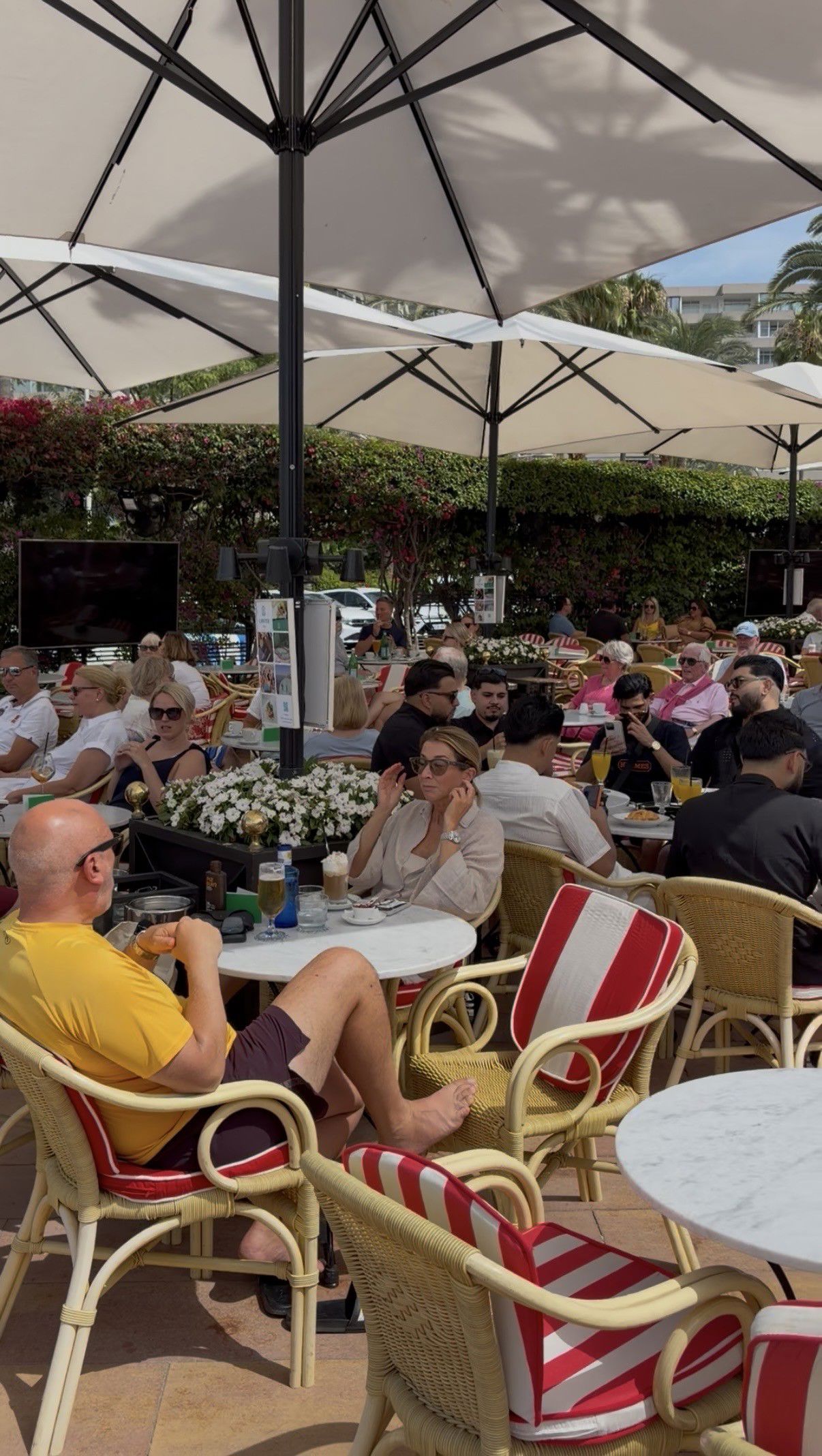 Lunch at Cappuccino in Puerto Portals