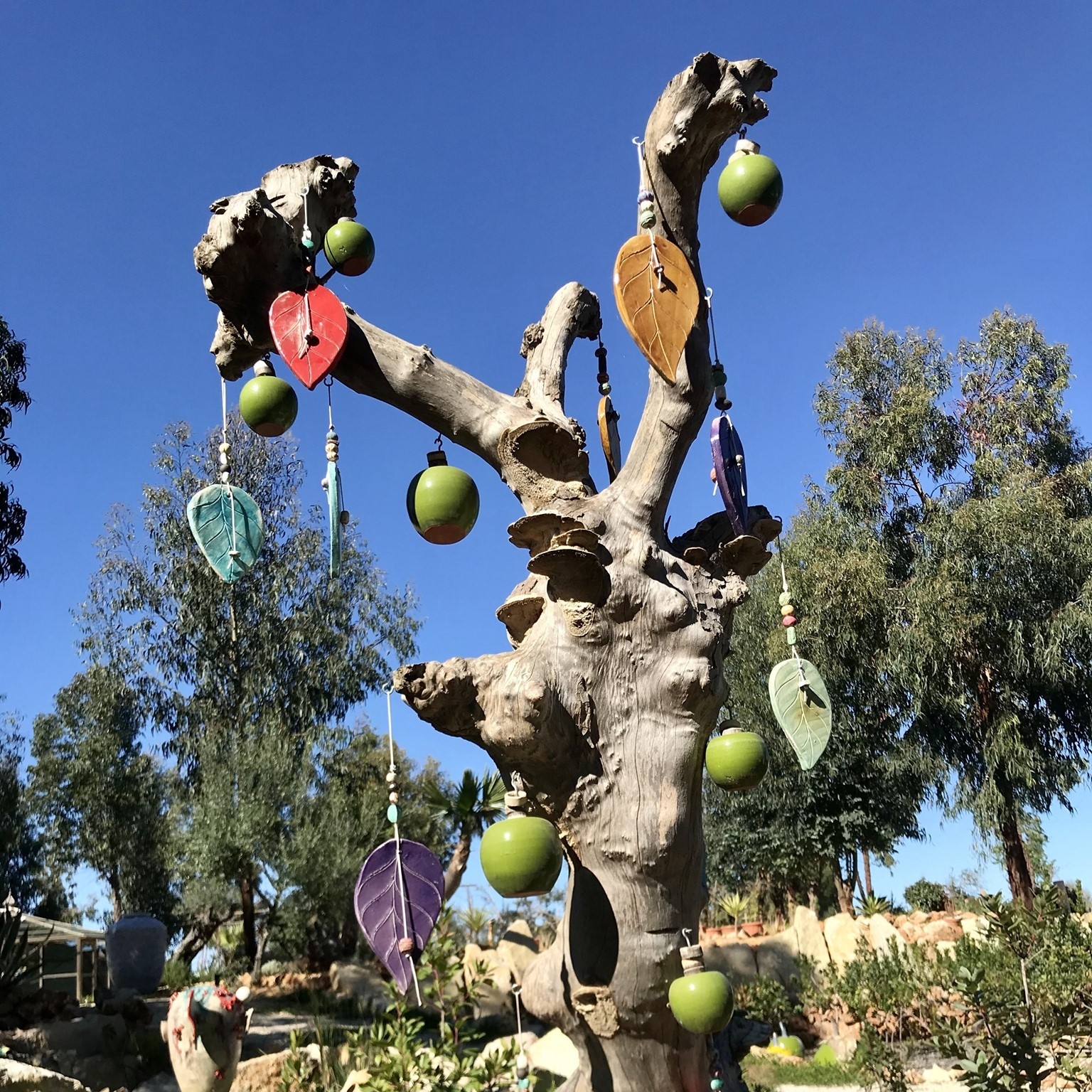 Mikki's Place to Stay