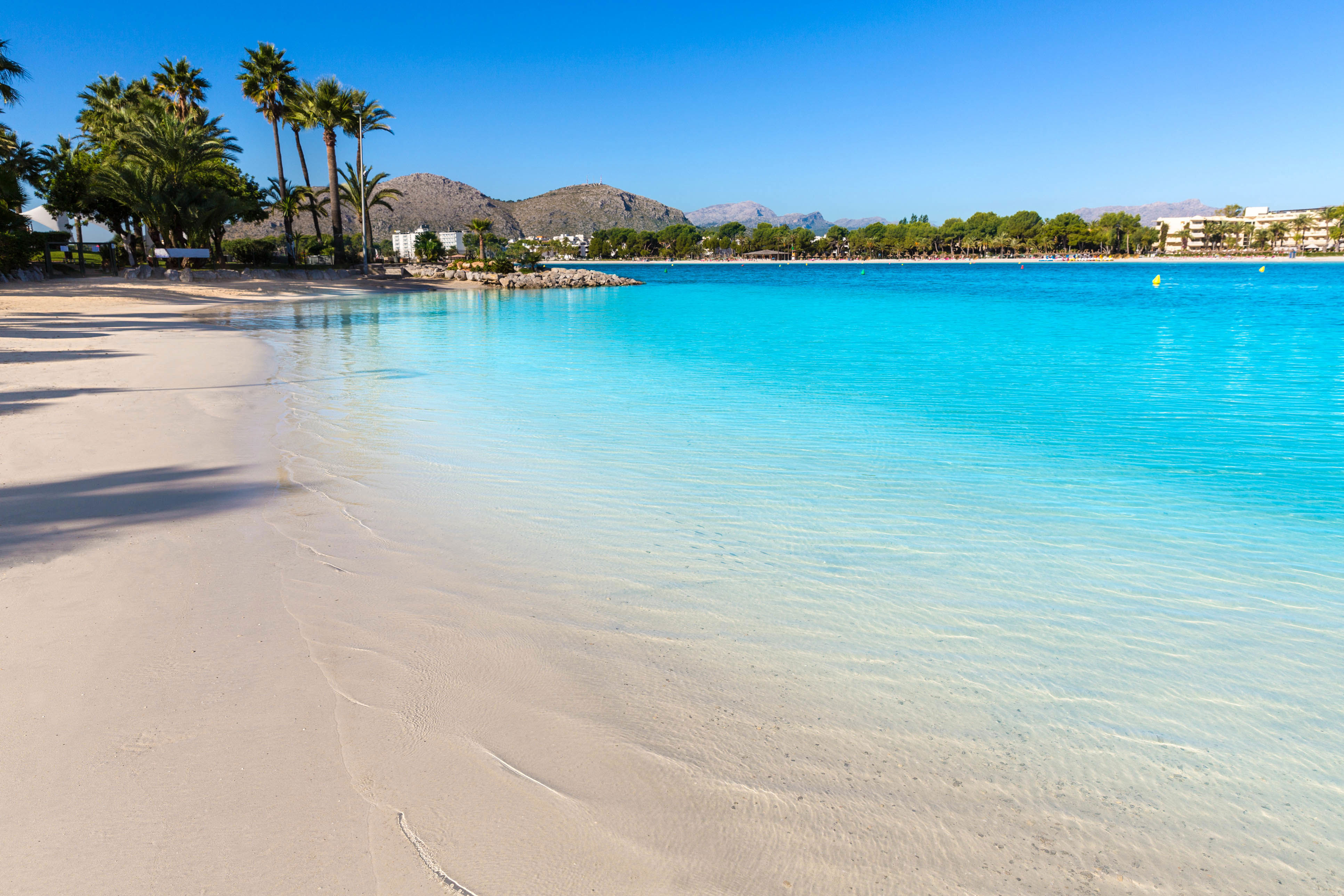 Platja de Alcudia